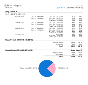 hours report detailed